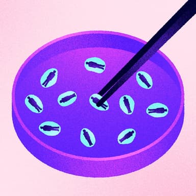 ماذا علمتني تجاربي مع الخلايا 🧫