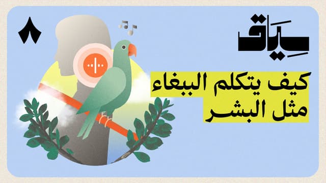 هل يفهم الببغاء لغة البشر